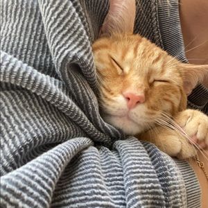 Meet your Posher, Kayelee